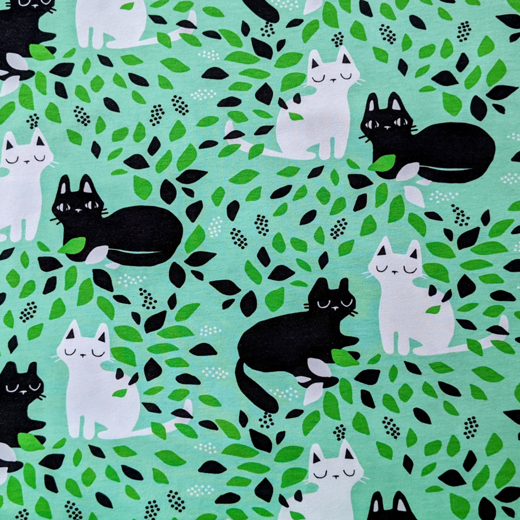 A014 Kittens in mint 3089 x 3089 A014 – Kittens in mint 23