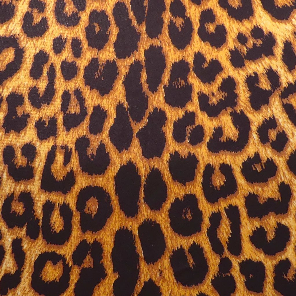 P1220929 1 A006 – Leopard print 9